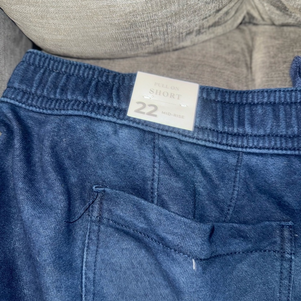 Lane Bryant Blue Women's Shorts